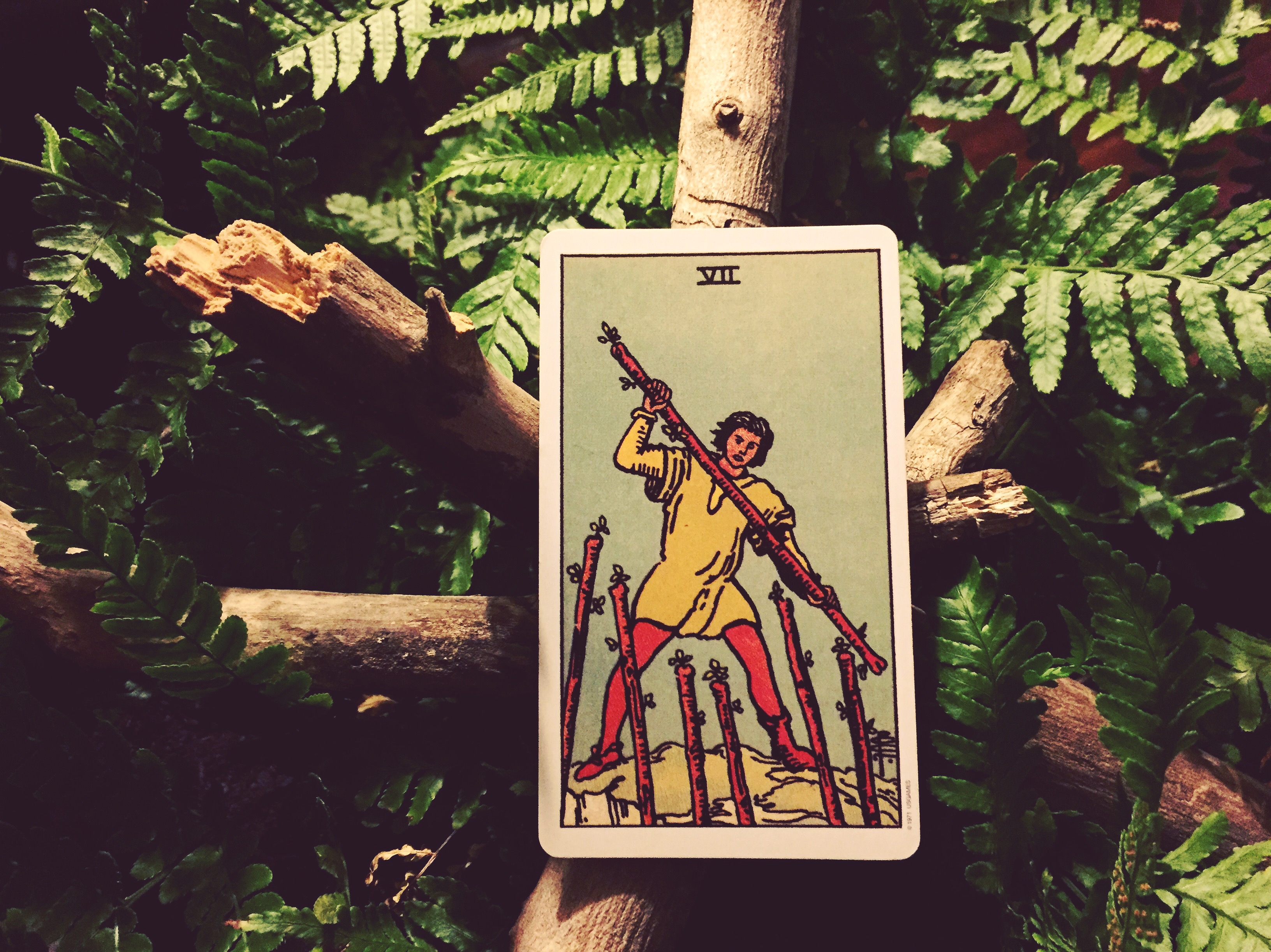 photo-jan-22-6-51-20-pm